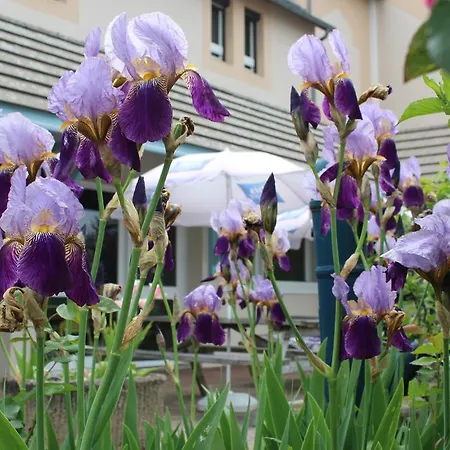 Ibis Budget Laval Bonchamp Les Laval