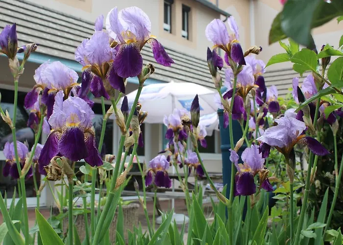 Ibis Budget Laval Bonchamp Les Laval